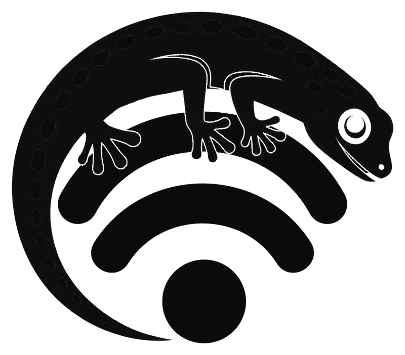 GeckoWiFi logo: a gecko curled around a Wi-Fi symbol